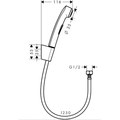 32129000 Hansgrohe Bidette bide tuš set