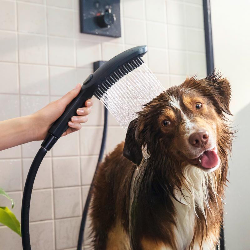 Tuš ročke — 26640670 Hansgrohe DogShower Select tuš ročka 3 funkcije | SAN-KERAMIKA.SI