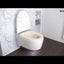 146.212.11.1 Geberit Aqua Clean Mera Comfort higijenska brezrobna viseča WC školjka (146.213.11.1)